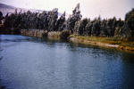 Sea of Galilee