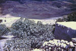 Holy Land 51