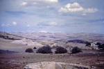 Holy Land 54