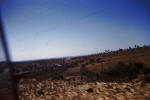 Holy Land 55