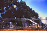 Holy Land 61