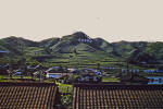 Rice Fields 2